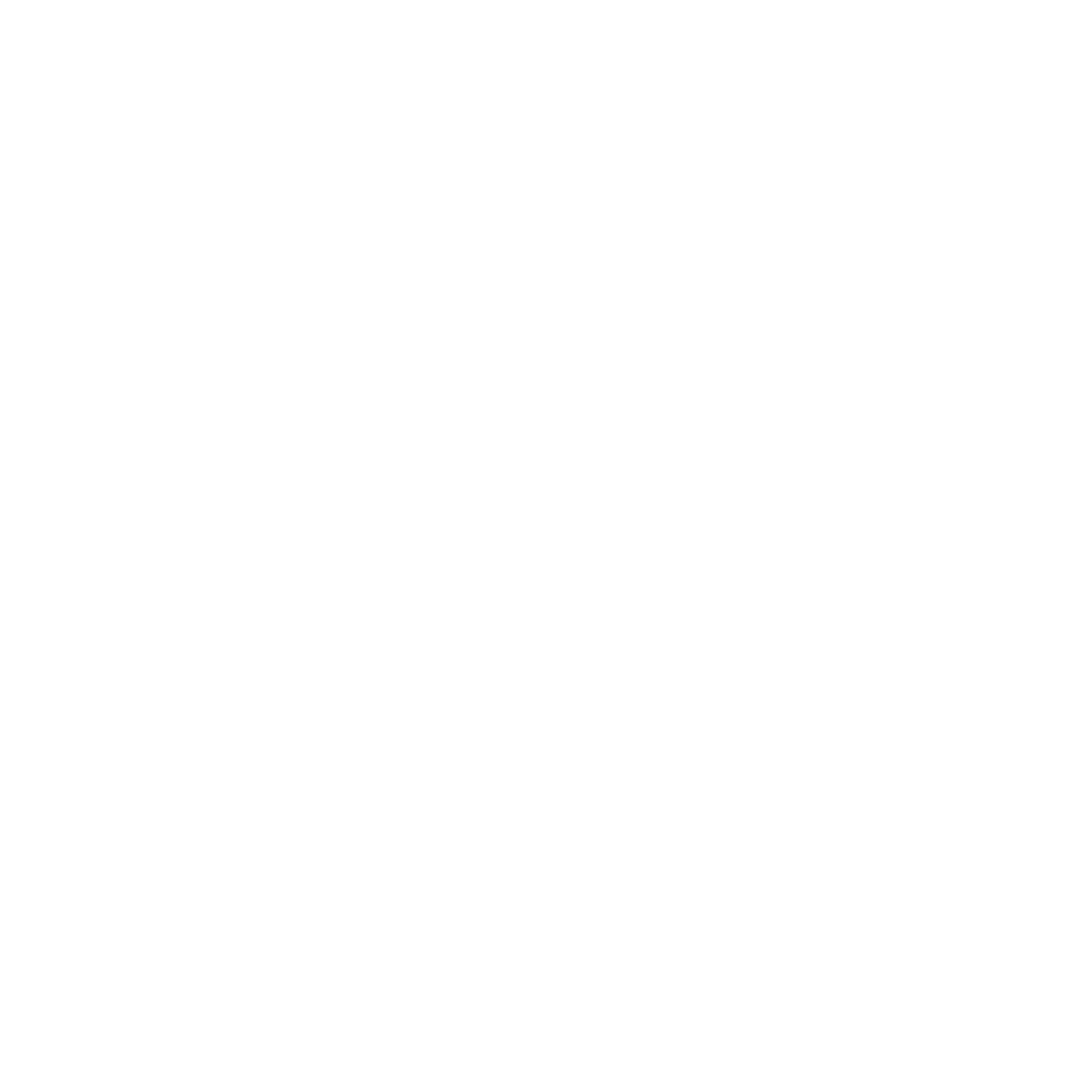 shopify logo. shopify skilled best freelance digital marketer in malappuram