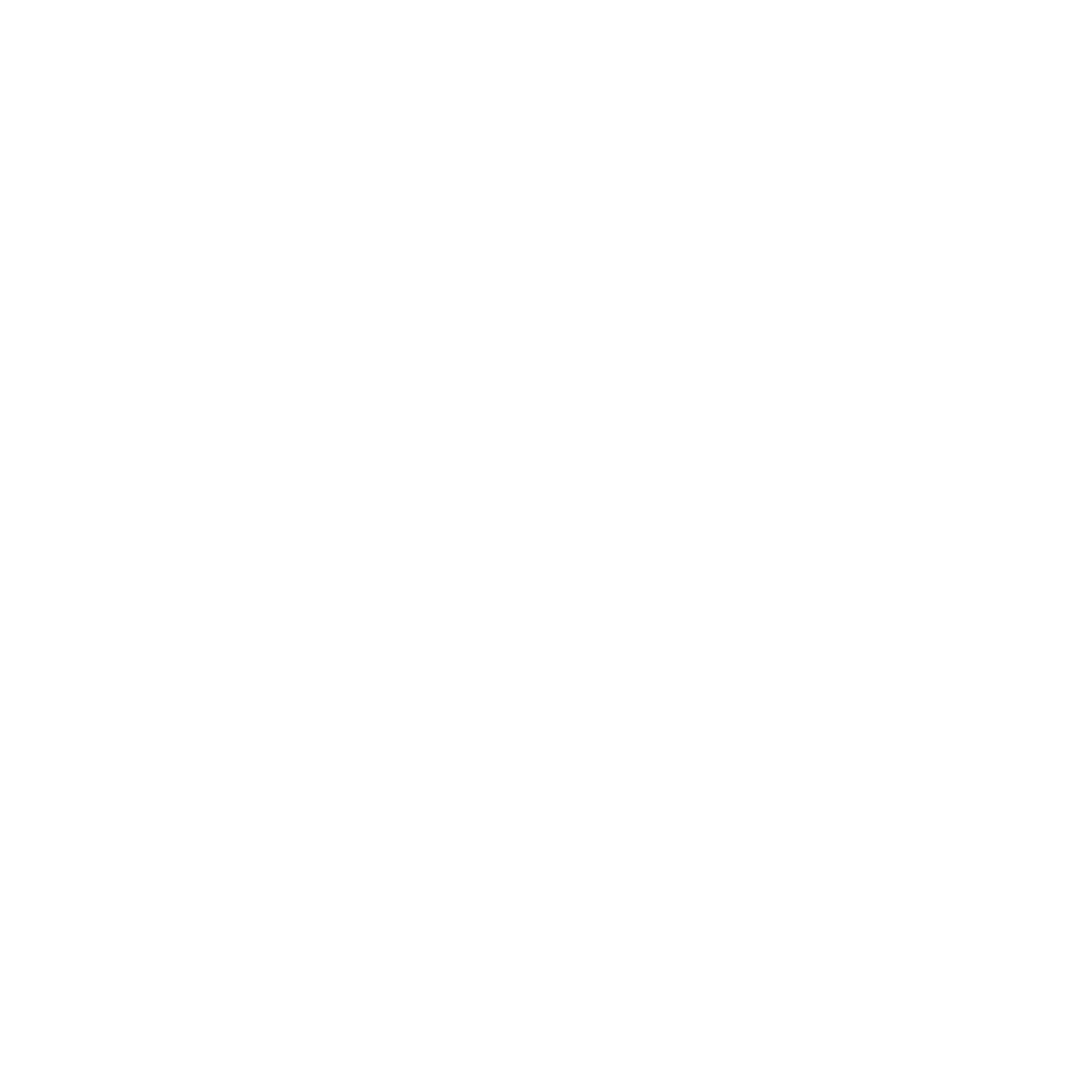sted council logo. sted council certified best freelance digital marketer in malappuram