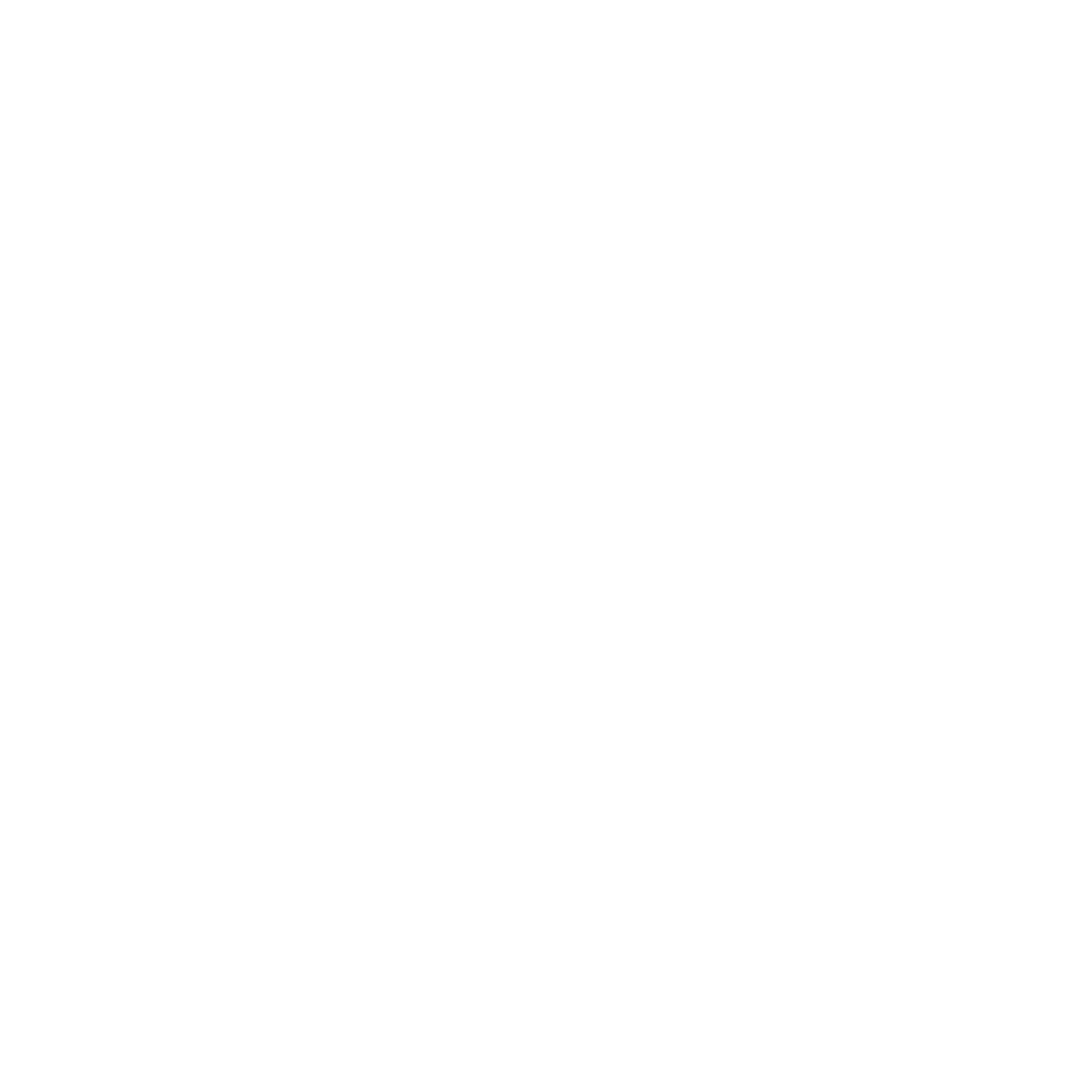wordpress logo. wordpress skilled best freelance digital marketing expert in malappuram